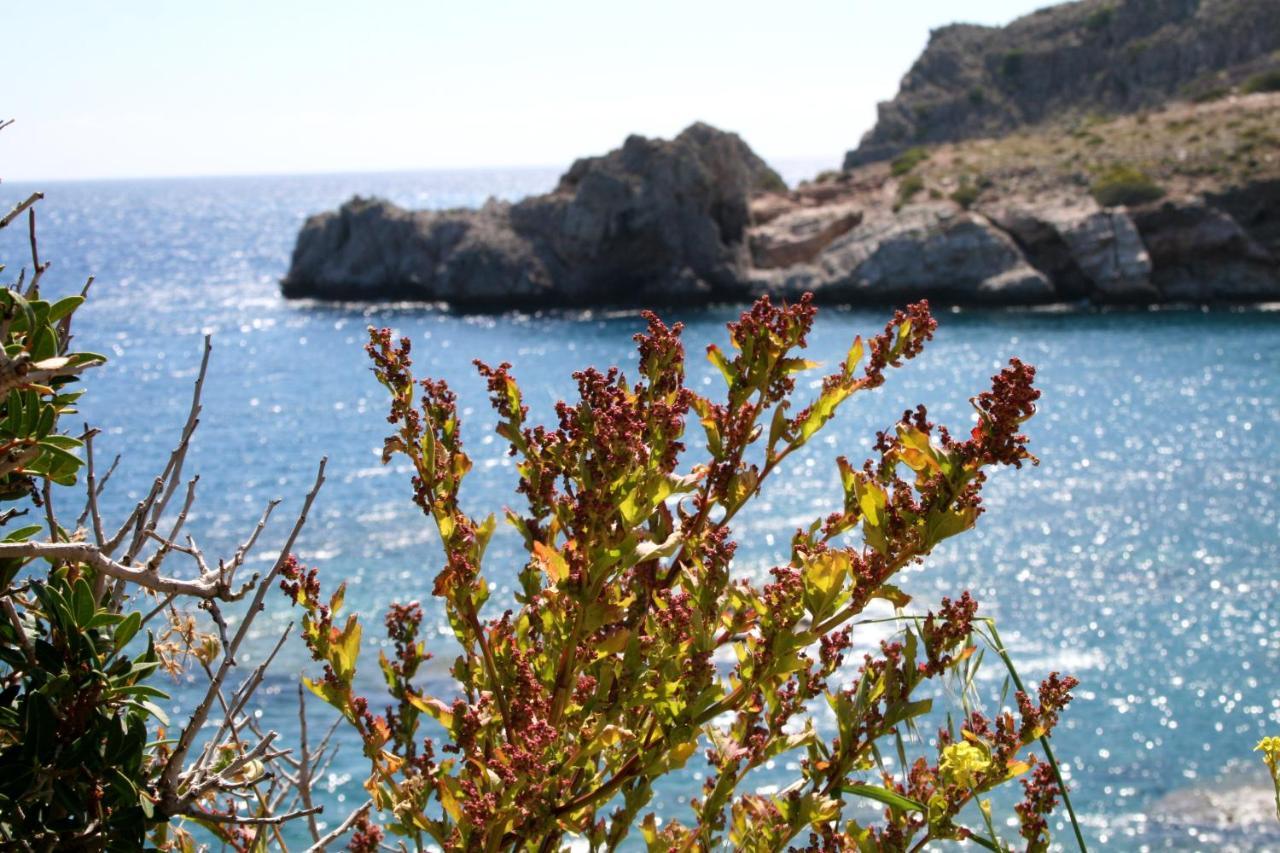 Agios Pavlos Hotel Eksteriør bilde